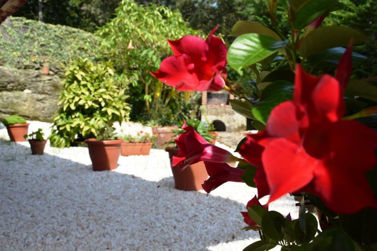 Apartamento O Mencer do Camiño Cee Exterior foto